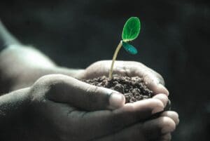 A person holding dirt with a plant in it.