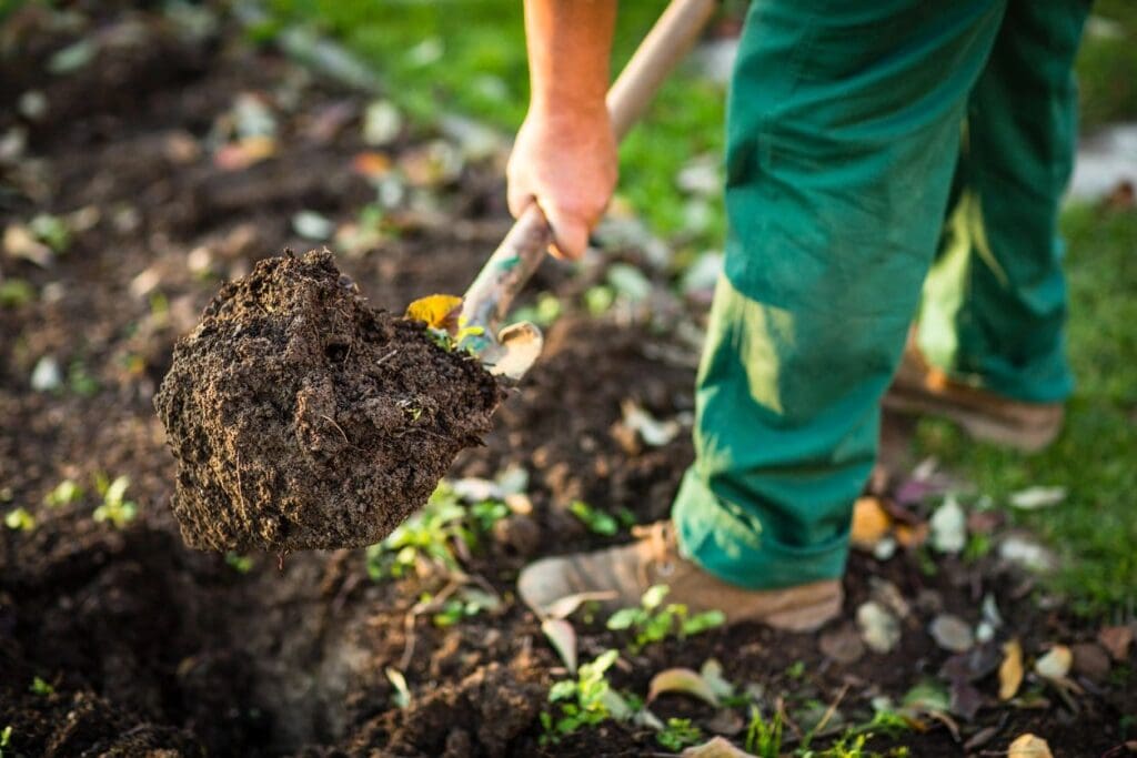 Tilling the soil