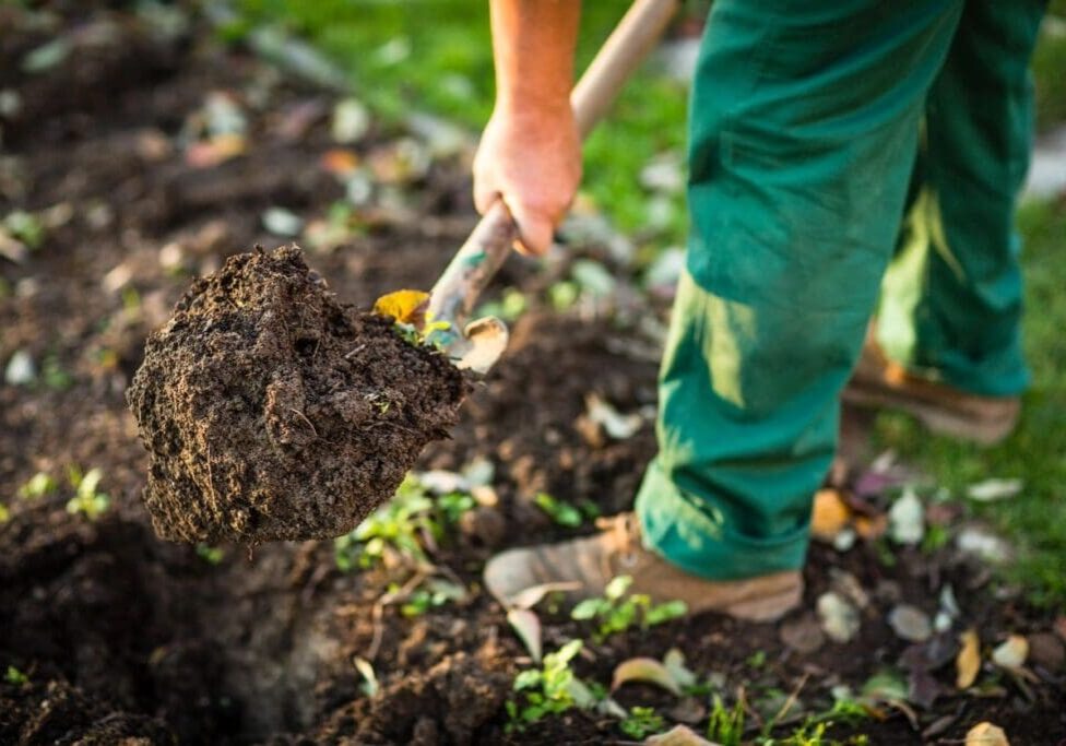 Tilling the soil